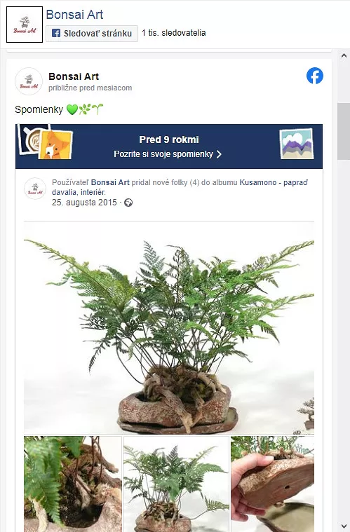 Facebook Bonsai Art odkaz